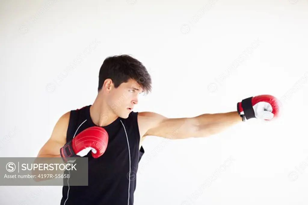 Young boxer punching while wearing gloves and isolated on white