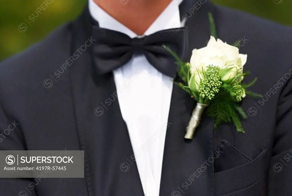 Close-up of the groom's accoutrements