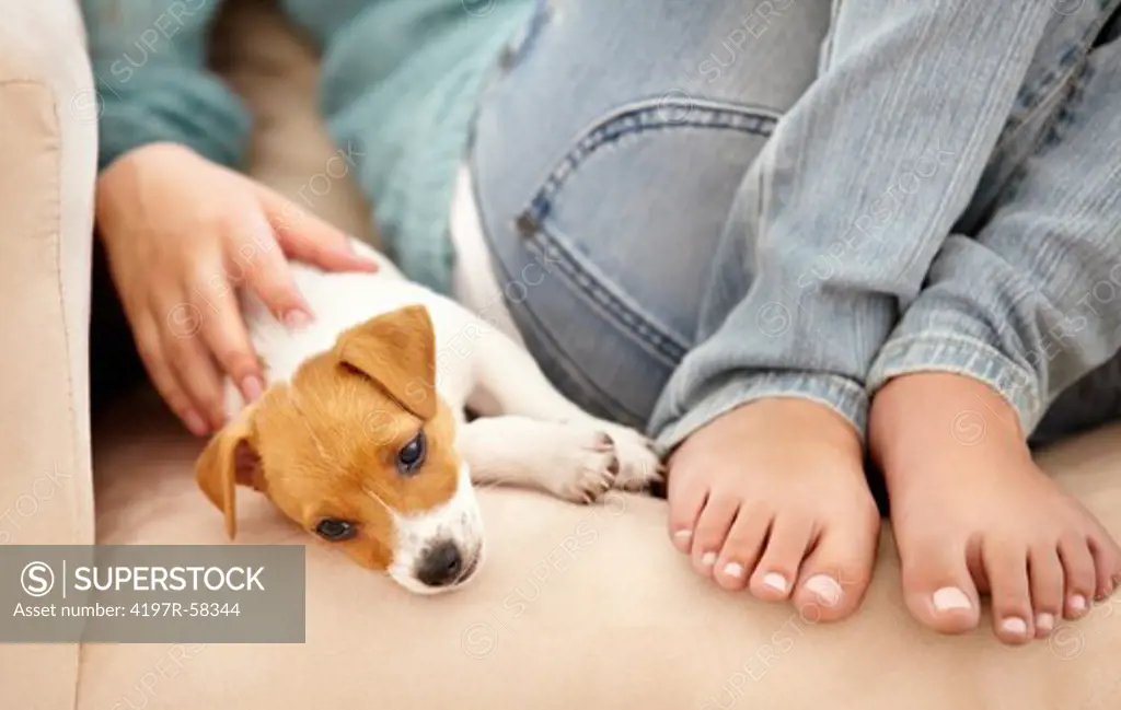 A cute puppy being lazy on the couch near its owner's feet