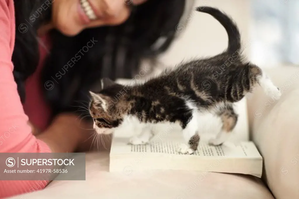 Cute little kitten interrupting its owner's reading session