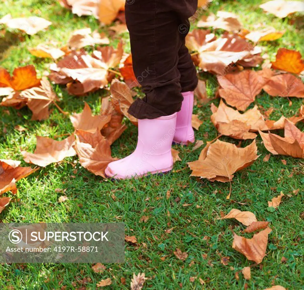 Cropped image of a little girl standing in the leaves outside