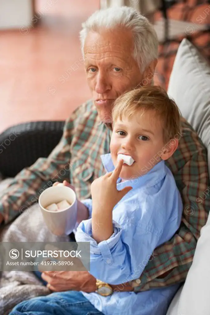 Portrait of a grandfather sitting with his grandson at home