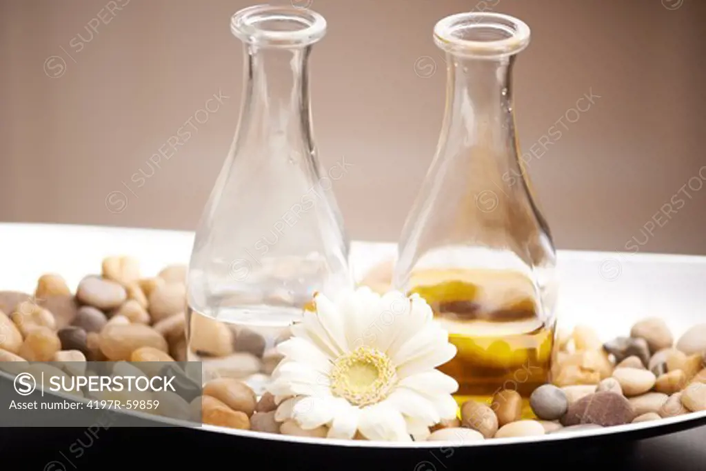 A daisy and clear bottles of beauty oil sitting atop a bed of smooth pebbles in a silver tray