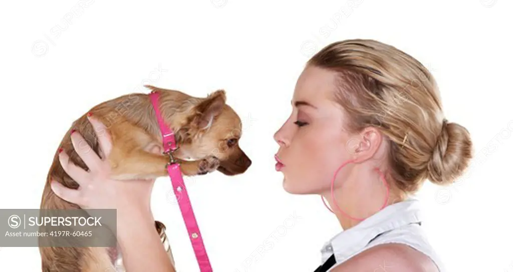 A glamorous young woman blowing kisses at her pet chihuahua