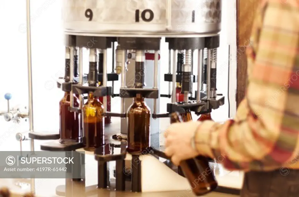 Beer bottles being filled in a brewery