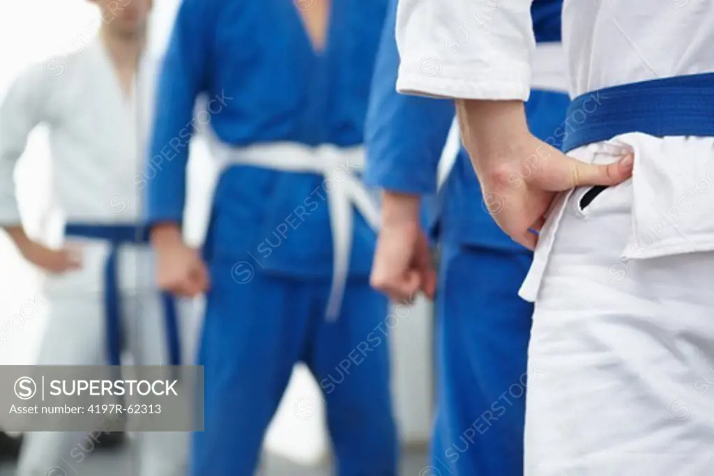 Cropped shot of a sensei standing in front of a group of young martial artists in a dojo