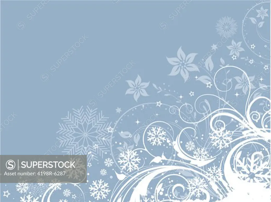Decorative floral winter background with snowflakes