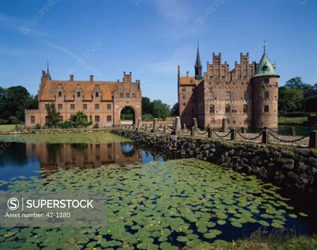 Lily pads in a pond in front of a castle, Egeskov Castle, Kvaerndrup, Denmark