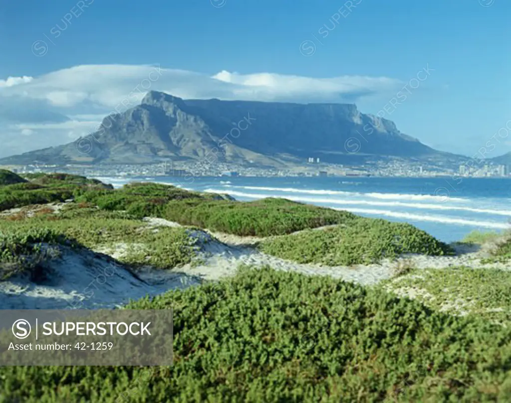 Mountain along a bay, Table Mountain, Cape Town, South Africa