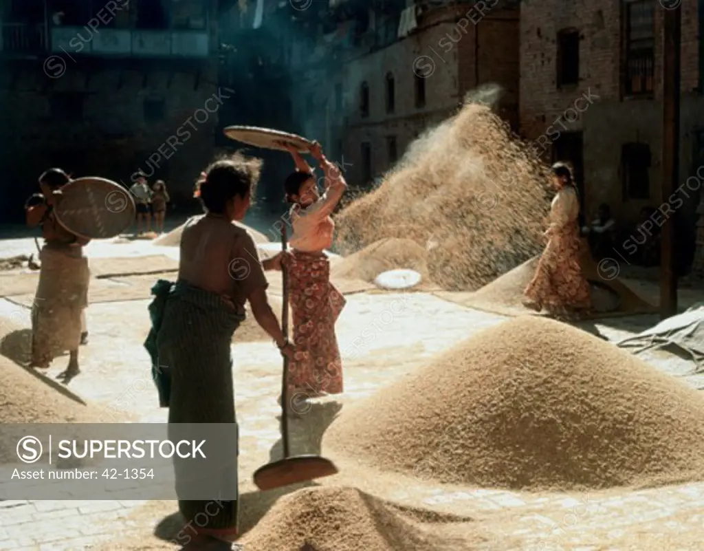 Group of women threshing rice, Nepal