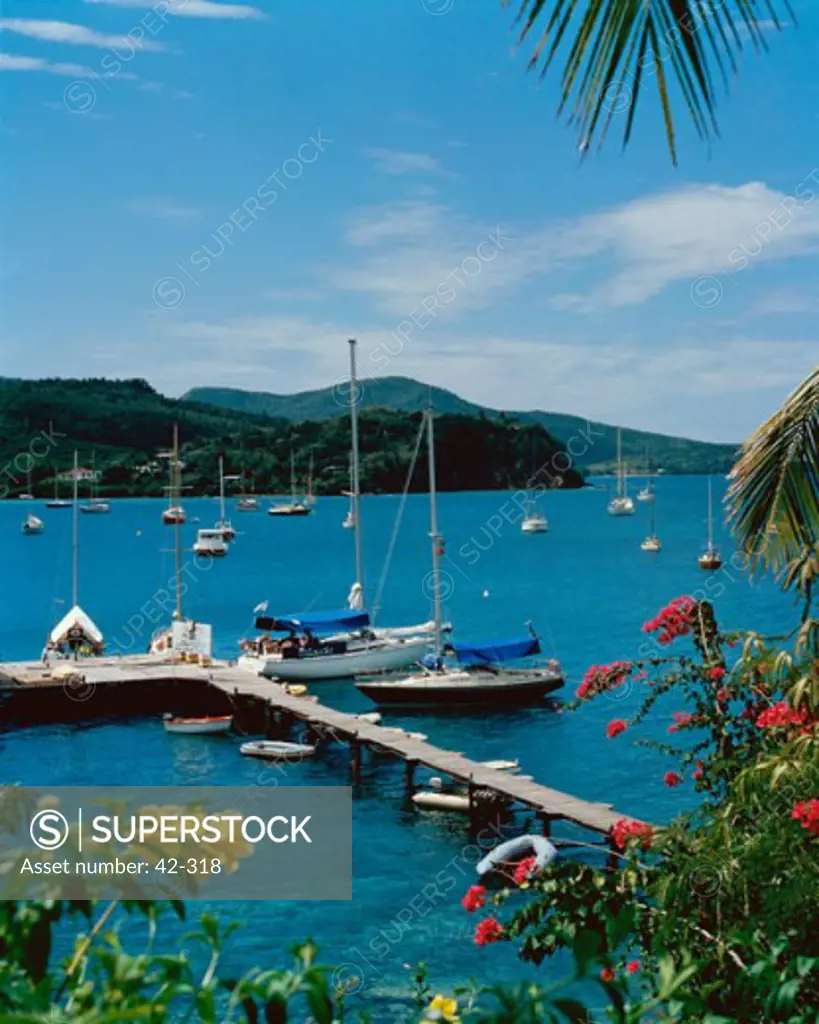High angle view of boats at a dock, Trois Islets, Martinique