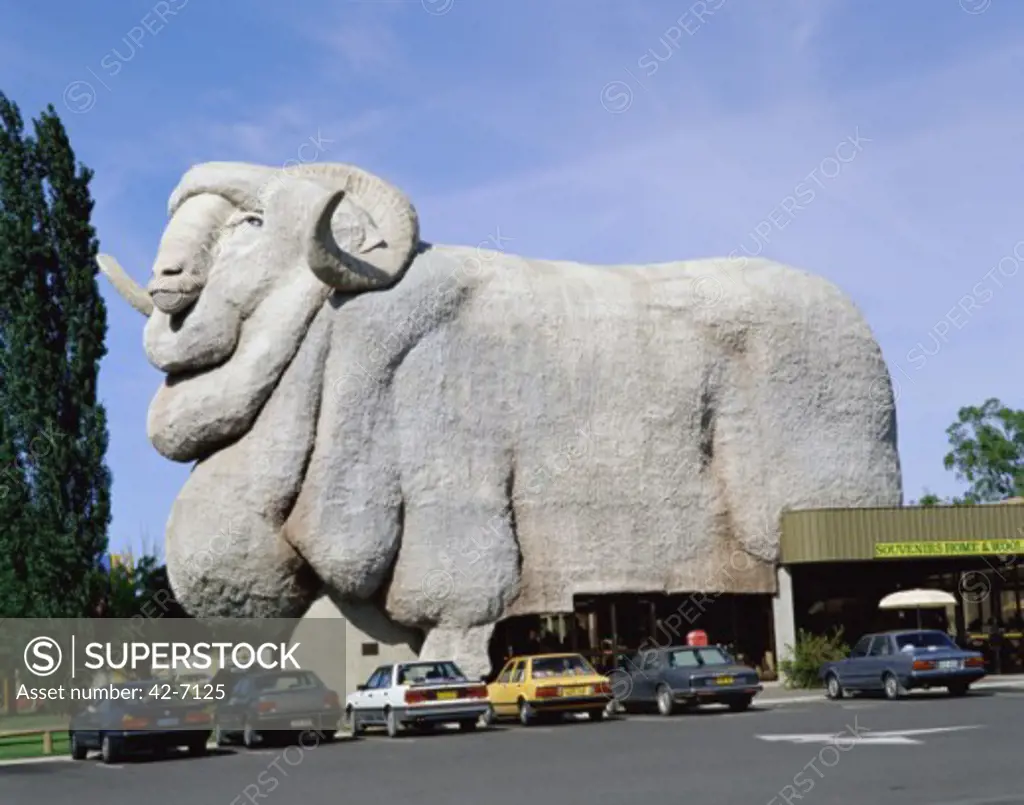 Cars parked in front of a statue, Big Merino, Goulburn, New South Wales, Australia