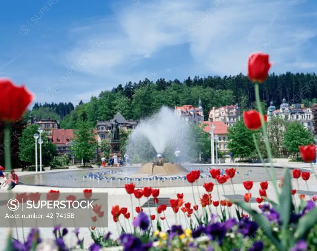 Tulips in front of a fountain, Marianske Lazne, Czech Republic
