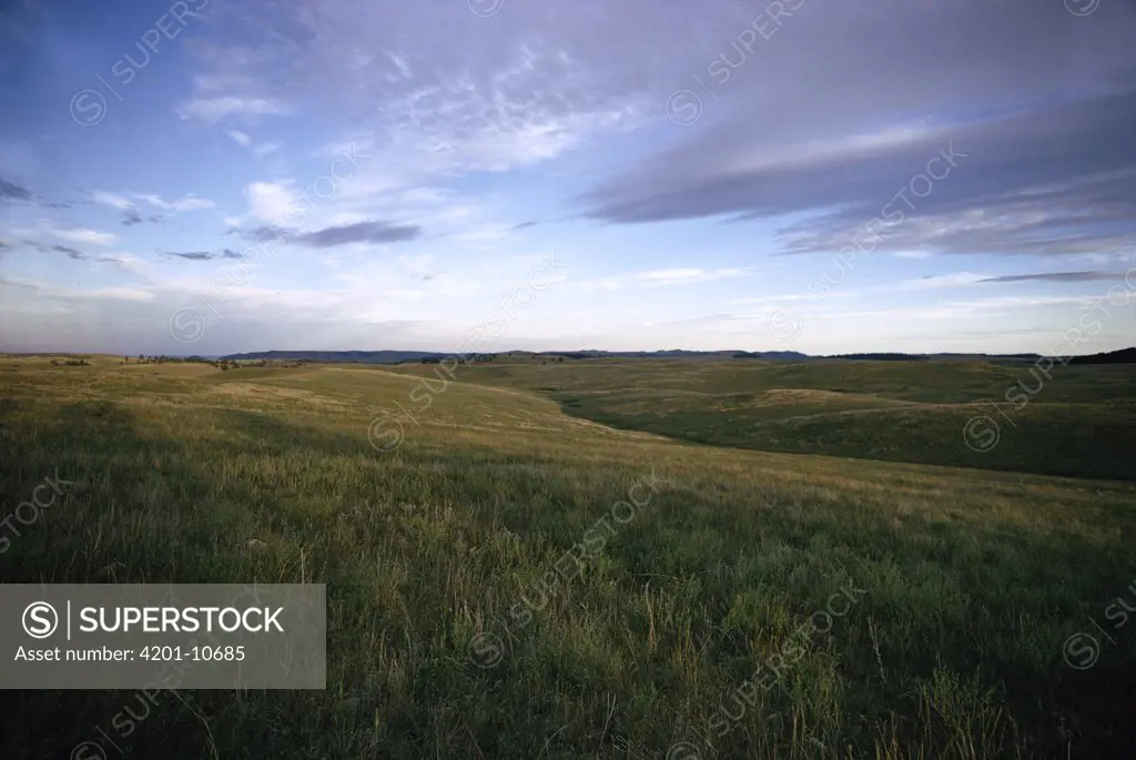 Prairie at dusk, Wind Cave National Park, South Dakota