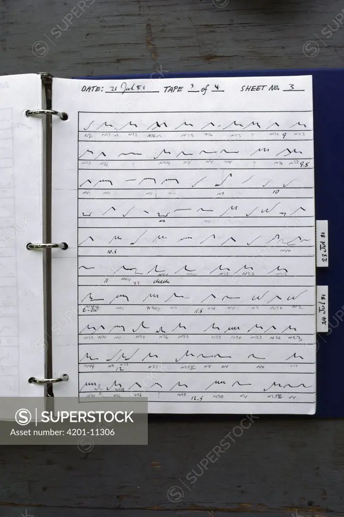 Orca (Orcinus orca) vocalizations recorded in shorthand in research log, British Columbia, Canada