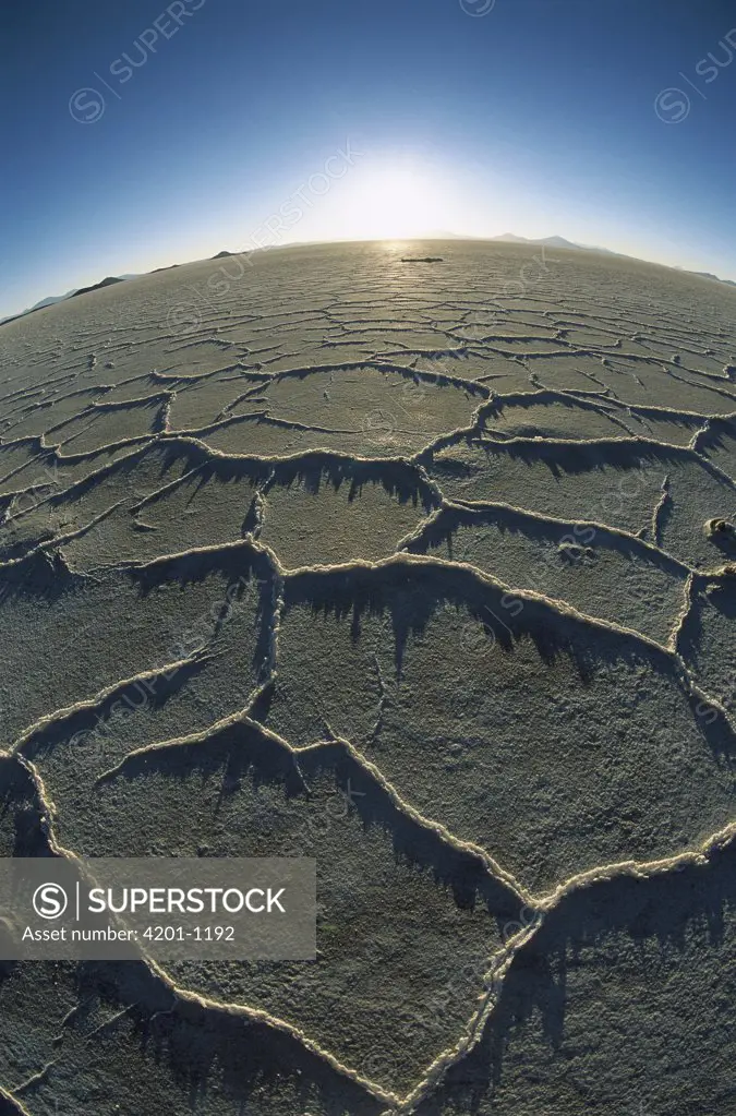 Hexagonal crystallization fissures in 100 kilometer wide, 500 kilometers thick and 12,000 year old Salar de Uyuni salt pan, altiplano, Potosi District, Bolivia