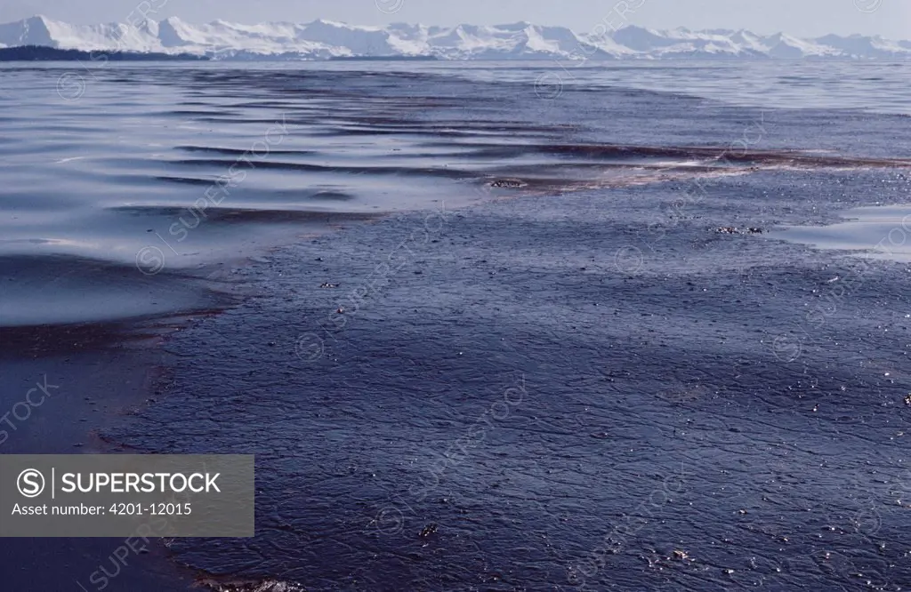 Exxon Valdez oil spill, Prince William Sound, Alaska