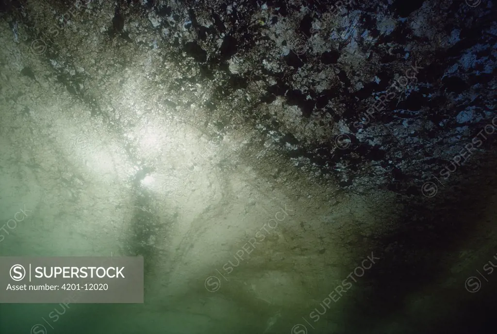 Underwater view of oil spill and sludge in water as a result of Exxon Valdez oil spill, Prince William Sound, Alaska