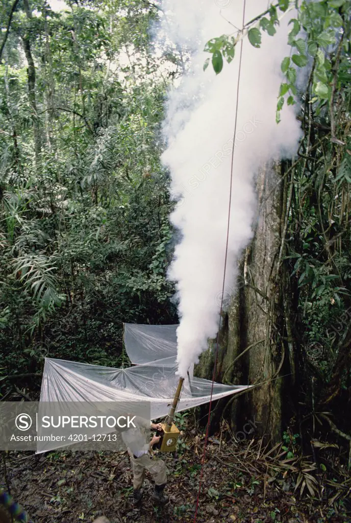 Entomologist Terry Erwin fogging tree with biodegradable pesticide to collect insect specimens, Pacaya-Samiria National Reservation, Peru