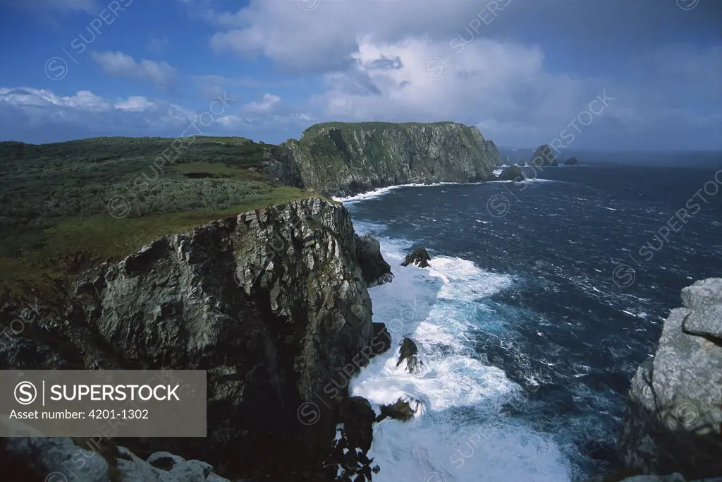 Southwest promontory and adjacent sea stacks, Snares Islands, New Zealand