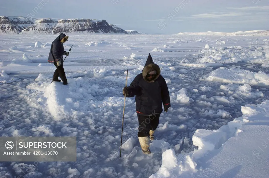 Inuits testing ice strength, Arctic Bay, Baffin Island, Canada