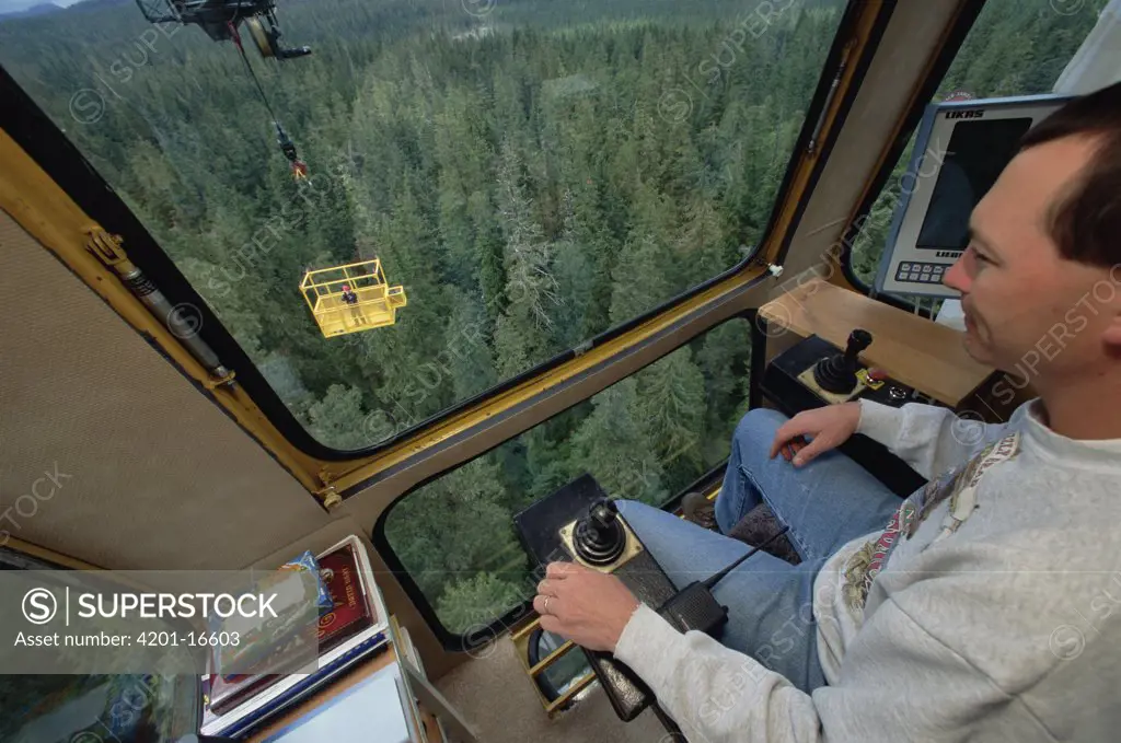 Researchers piloting crane and gondola over temperate rainforest canopy, Wind River, Washington