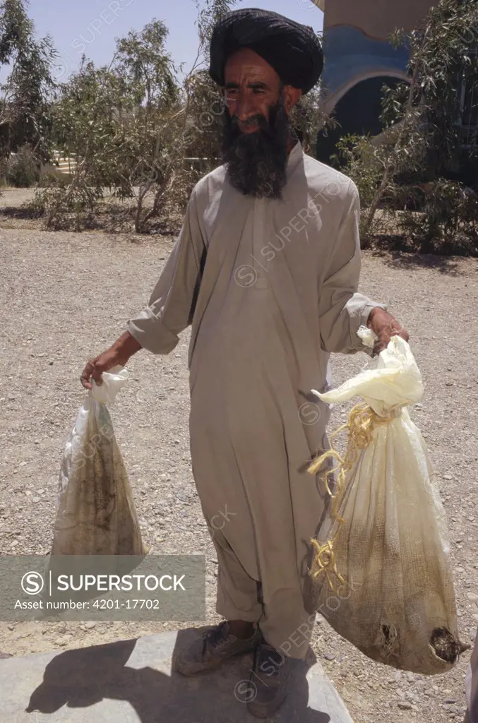 Farmer with bags of hedgehogs for researcher Jim Patton, agricultural station near Zabul, Iran