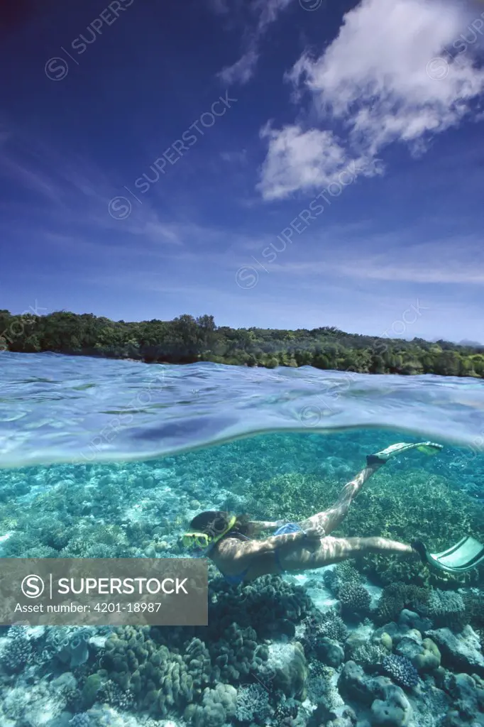 Coral reefs, snorkeler and tropical island, Palau