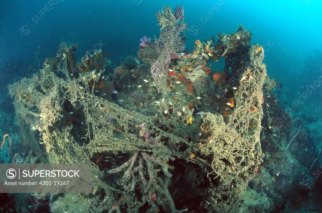 Discarded fishing net entangles a reef, smothering corals, sponges and other reef organisms, Similan Islands, Thailand