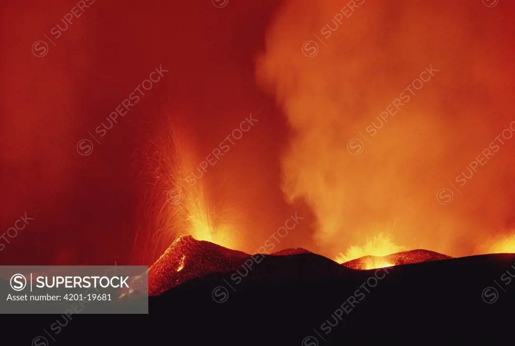 Volcanic eruption with lava fountaining and splatter cone formation along radial fissure on shield volcano flank, Cerro Azul, Isabella Island, Galapagos Islands, Ecuador