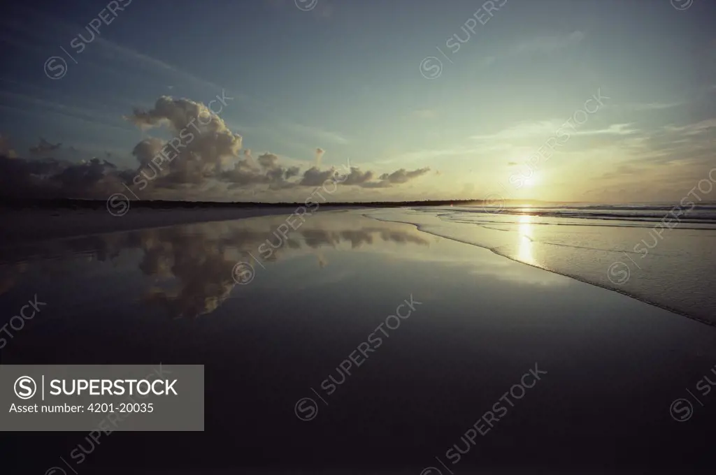 Hot season sunrise peaceful March morning on beach, Tortuga Bay, Santa Cruz Island, Galapagos Islands, Ecuador