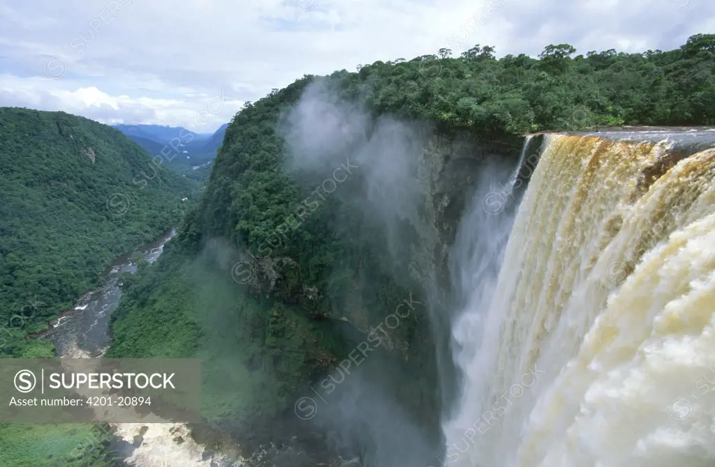 Kaieteur Waterfall on the Potaro River, highest waterfall at 741 feet, Guyana