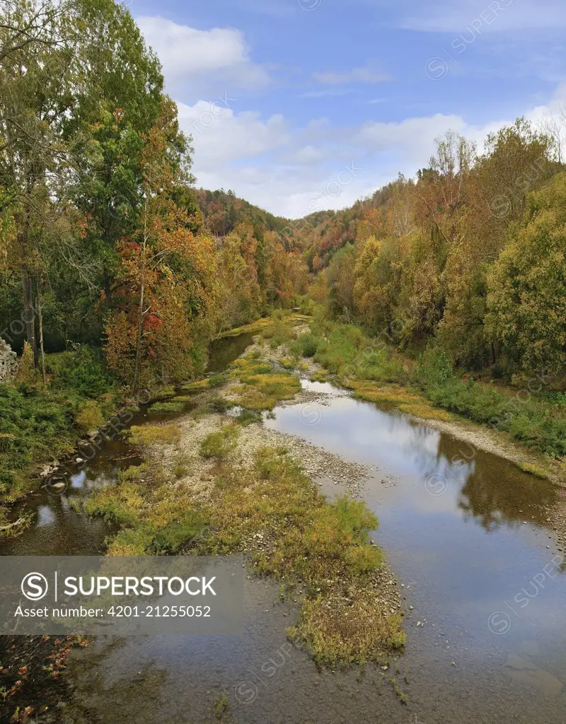 Deciduous forest and river in fall, Little Buffalo River, Buffalo National River, Arkansas