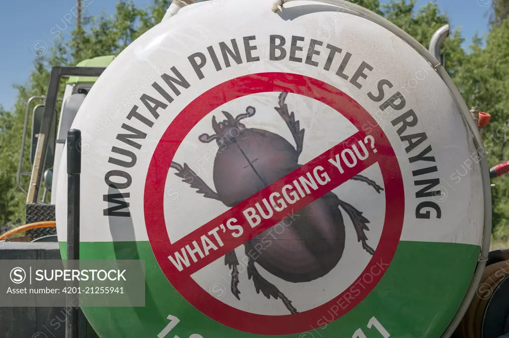 Mountain Pine Beetle (Dendroctonus ponderosae) eradication truck, Colorado