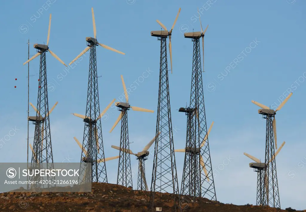 Windmill farm, Tehachapi Pass, California