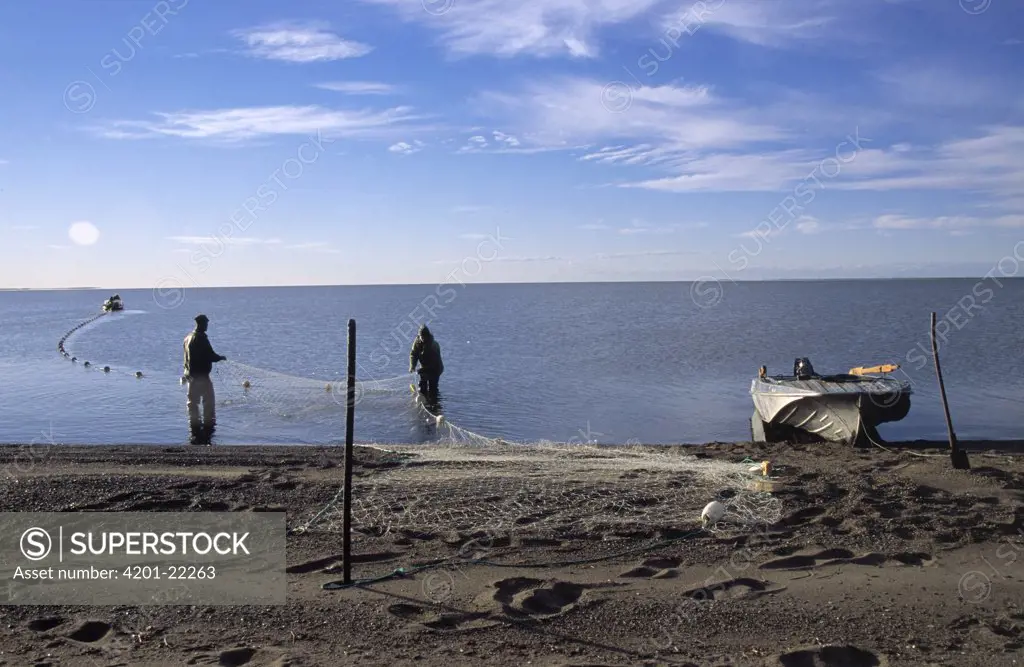 Men setting fish nets in a lake, Siberia