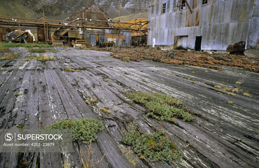 Machinery and buildings at abandoned whaling station, Grytviken, South Georgia