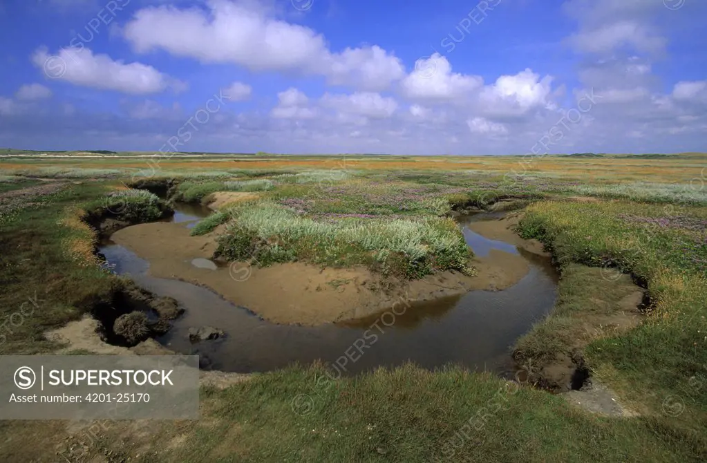 Meandering creek in tidal inlet, De Slufter, Texel, one of the Dutch Wadden Sea Islands, Netherlands