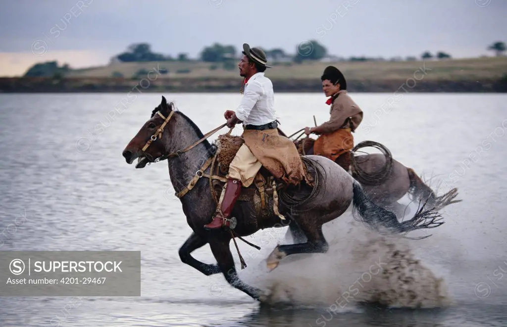 Horsemen riding through shallow water, southern Brazil