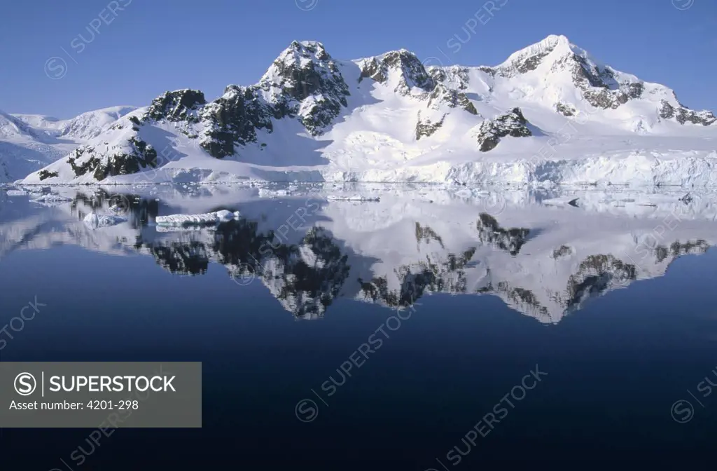 Ice clad mountains dropping directly into the sea, Paradise Bay, Antarctica Peninsula, Antarctica