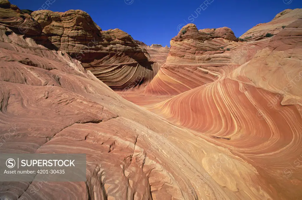 Colorful sandstone patterns of petrified sand dunes and ridges created by erosion, near Paria River, Colorado Plateau, Utah