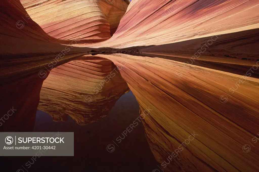 Colorful sandstone patterns of lines, ridges and ripples, carved by erosion, are reflected in rainwater pool, Colorado Plateau, Utah