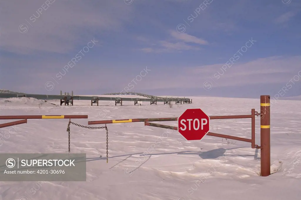 Stop sign on dirt road leading to Alyeska oil pipeline, North Slope, Alaska