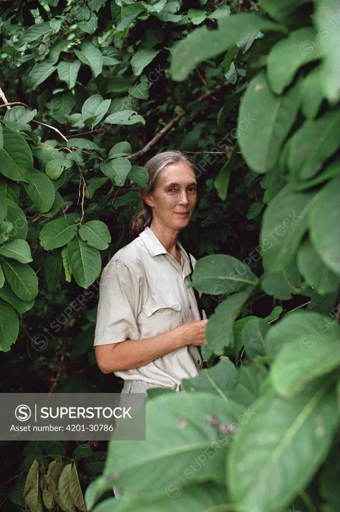 Jane Goodall portrait, Gombe Stream National Park, Tanzania
