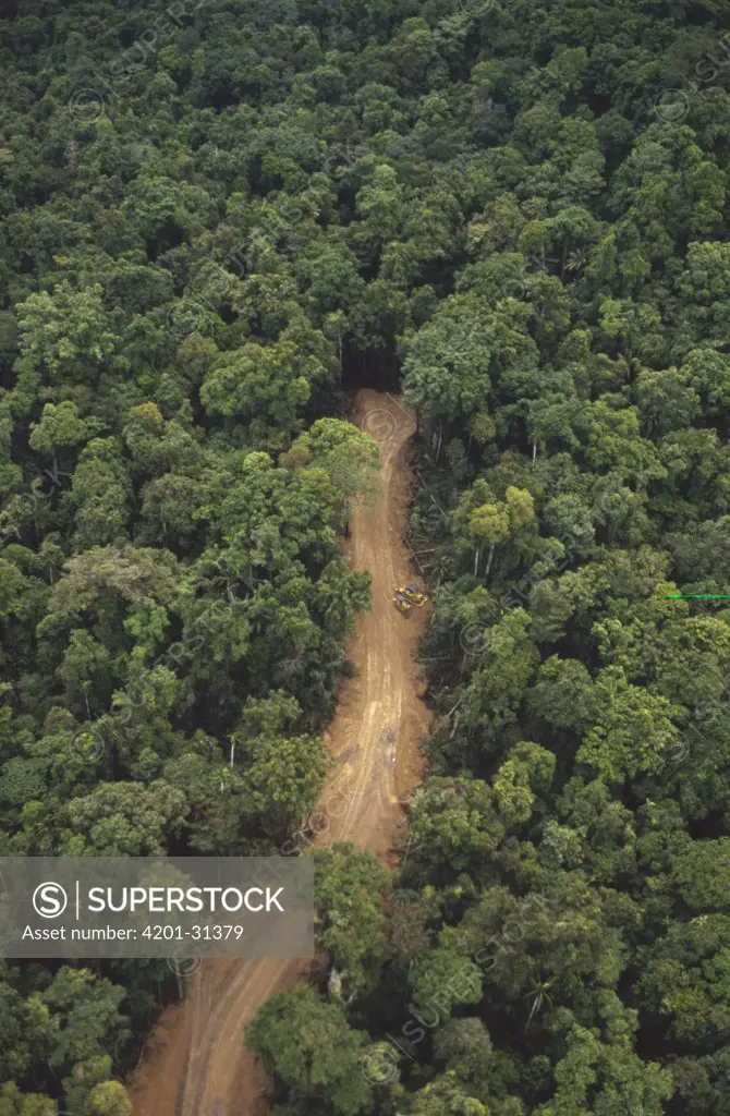 New logging road in virgin lowland tropical rainforest, east of Aird River Delta, Kikori Basin, Papua New Guinea