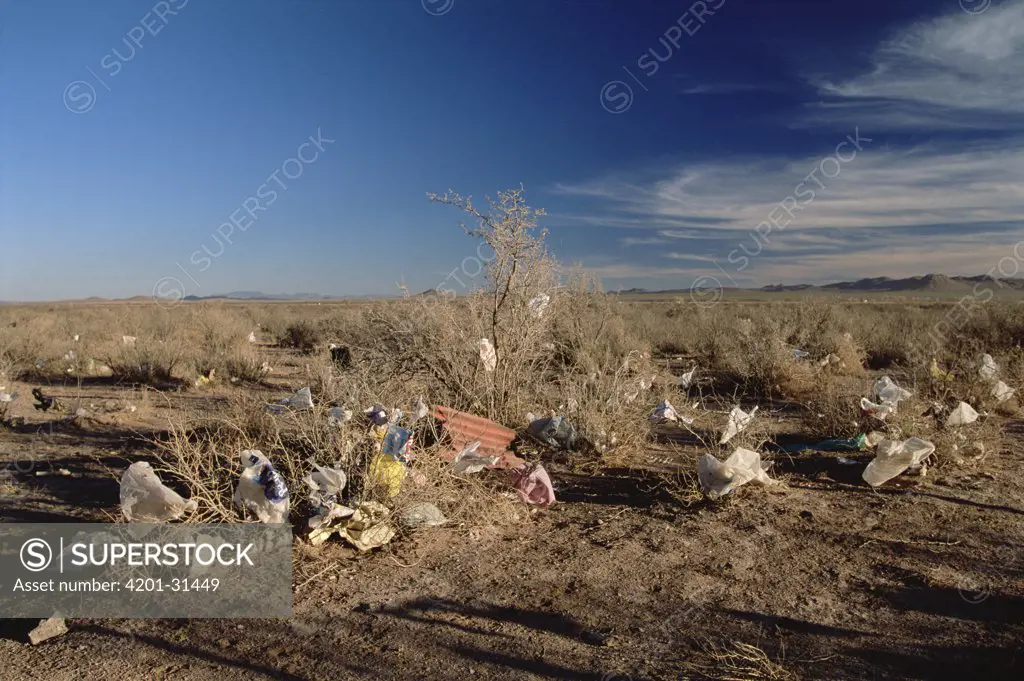 Garbage dumped in desert near Fernandez Leal, State of Chihuahua, Mexico