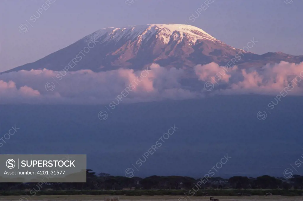 Mt Kilimanjaro as seen from Amboseli National Park, Kenya