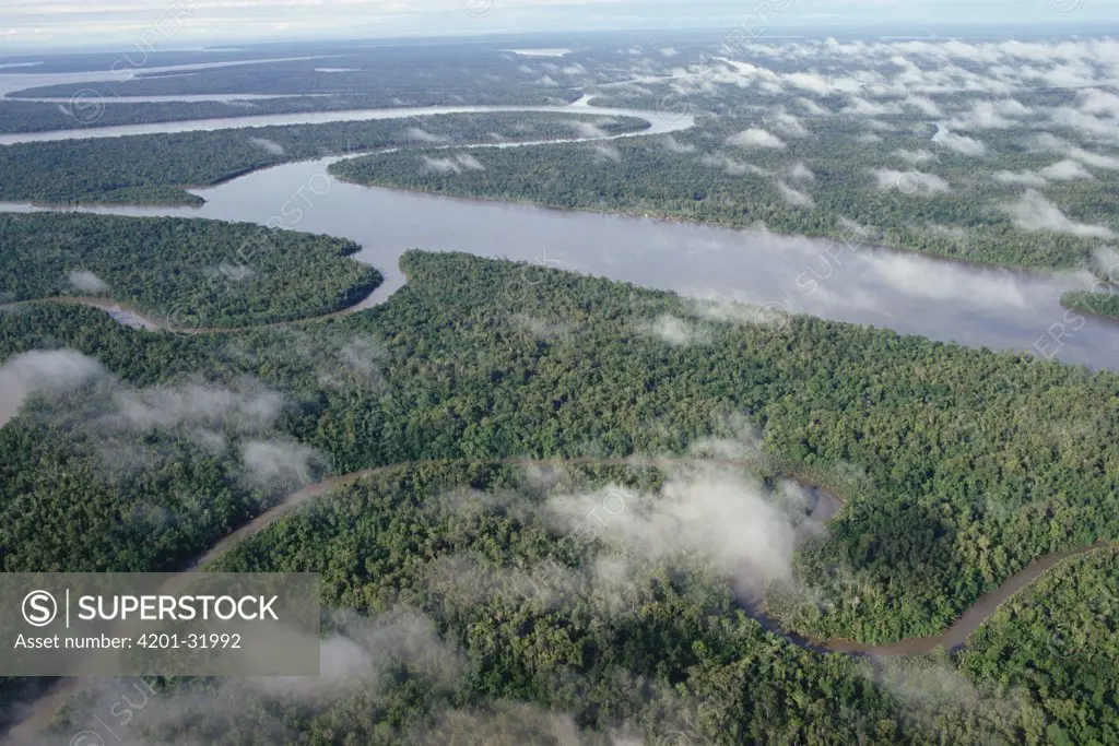 Aerial view of meandering Kikori River and streams through lowland tropical rainforest in Kikori Delta on the Gulf of Papua, Papua New Guinea