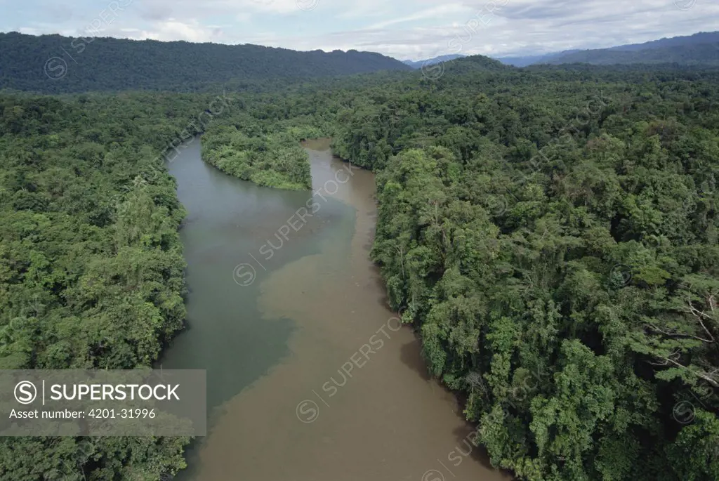 Confluence of silt laden Seribi River and another river in the Kikori Delta region, Papau New Guinea