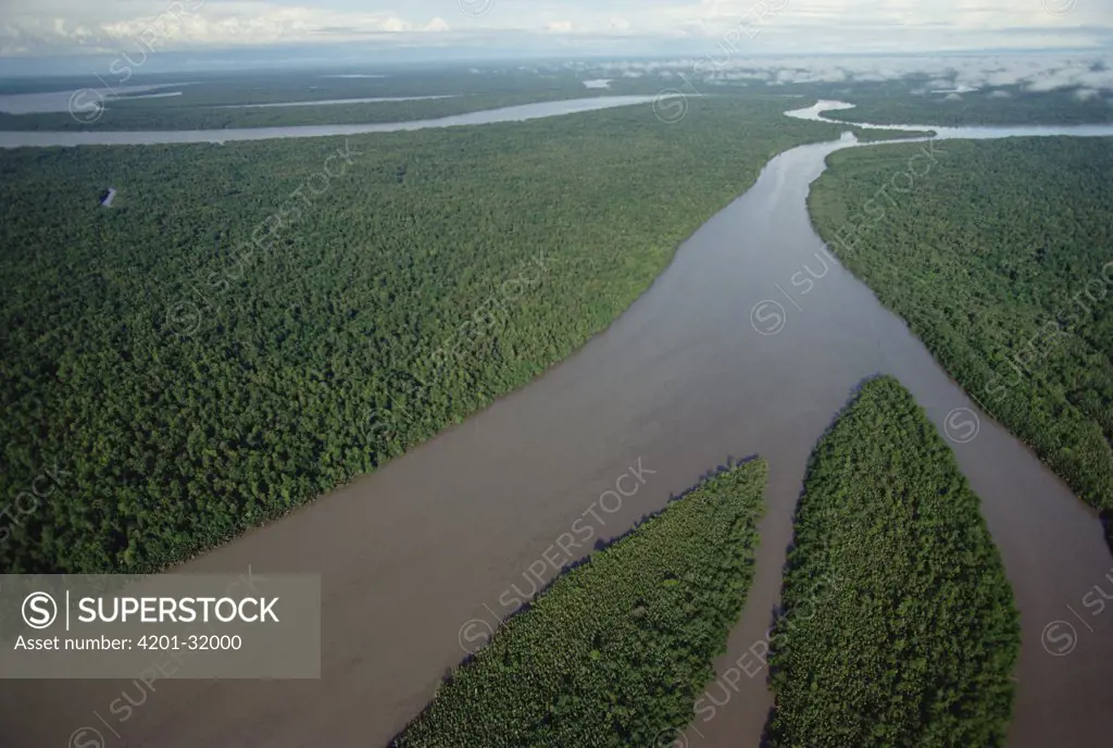 Aerial view of Kikori River and streams running through lowland tropical rainforest, Gulf of Papua, Papua New Guinea